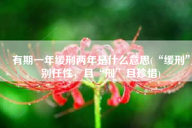 有期一年缓刑两年是什么意思(“缓刑”别任性，且“刑”且珍惜)