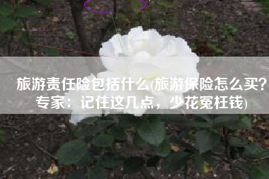 旅游责任险包括什么(旅游保险怎么买？专家：记住这几点，少花冤枉钱)