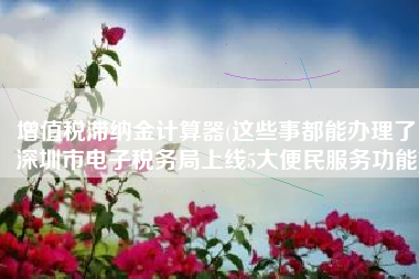 增值税滞纳金计算器(这些事都能办理了！深圳市电子税务局上线5大便民服务功能)