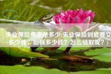 失业保险费率是多少(失业保险到底要交多少钱，能领多少钱？怎么领取呢？)
