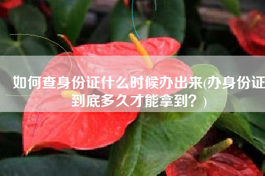 如何查身份证什么时候办出来(办身份证到底多久才能拿到？)