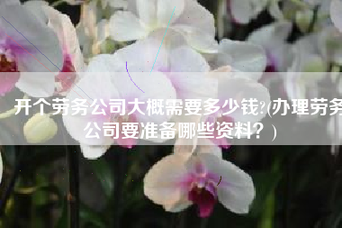 开个劳务公司大概需要多少钱?(办理劳务公司要准备哪些资料？)