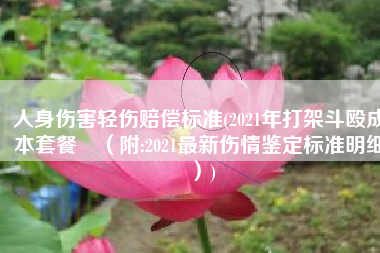 人身伤害轻伤赔偿标准(2021年打架斗殴成本套餐​（附:2021最新伤情鉴定标准明细）)