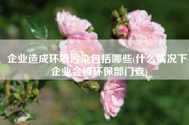 企业造成环境污染包括哪些(什么情况下，企业会被环保部门查)
