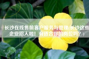 长沙在线售前客户服务与管理(长沙这些企业招人啦！有适合你的岗位吗？)