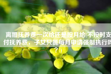 离婚抚养费一次给还是按月给(不按时支付抚养费，子女只能每月申请强制执行吗？)