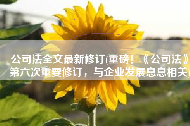 公司法全文最新修订(重磅！《公司法》第六次重要修订，与企业发展息息相关)