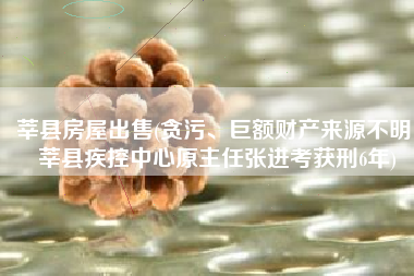莘县房屋出售(贪污、巨额财产来源不明！莘县疾控中心原主任张进考获刑6年)