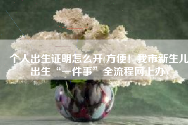 个人出生证明怎么开(方便！我市新生儿出生“一件事”全流程网上办)
