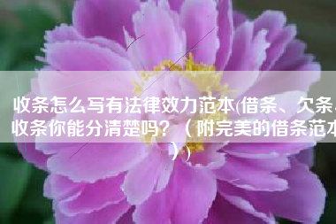 收条怎么写有法律效力范本(借条、欠条、收条你能分清楚吗？（附完美的借条范本）)