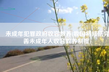 未成年犯罪政府收容教养(我国将修法完善未成年人收容教养制度)