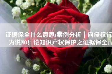 证据保全什么意思(案例分析｜向侵权行为说NO！论知识产权保护之证据保全)