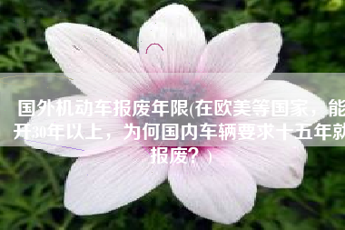 国外机动车报废年限(在欧美等国家，能开30年以上，为何国内车辆要求十五年就报废？)