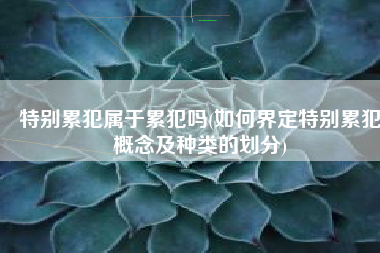 特别累犯属于累犯吗(如何界定特别累犯概念及种类的划分)