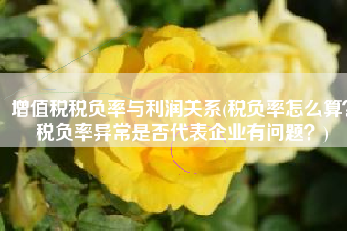 增值税税负率与利润关系(税负率怎么算？税负率异常是否代表企业有问题？)