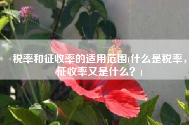税率和征收率的适用范围(什么是税率，征收率又是什么？)