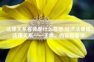 法律关系客体是什么意思(经济法基础：法律关系——主体、内容和客体)