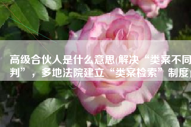 高级合伙人是什么意思(解决“类案不同判”，多地法院建立“类案检索”制度)