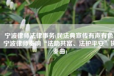 宁波律师法律事务(民法典宣传有声有色，宁波律师奏响“法助共富、法护平安”协奏曲)