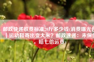 邮政快递收费标准20斤多少钱(消费曝光台｜运动鞋寄出变大米？邮政速递：未保价，赔七倍运费)