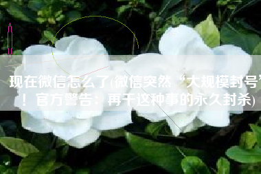 现在微信怎么了(微信突然“大规模封号”！官方警告：再干这种事的永久封杀)