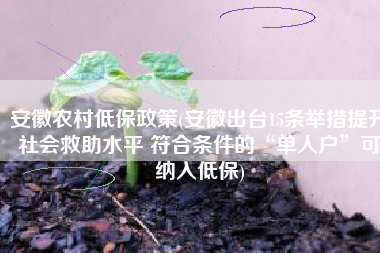 安徽农村低保政策(安徽出台15条举措提升社会救助水平 符合条件的“单人户”可纳入低保)