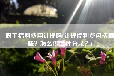 职工福利费用计提吗(计提福利费包括哪些？怎么做会计分录？)