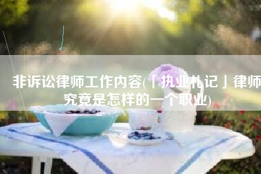 非诉讼律师工作内容(「执业札记」律师究竟是怎样的一个职业)