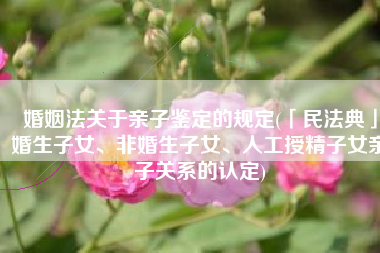婚姻法关于亲子鉴定的规定(「民法典」婚生子女、非婚生子女、人工授精子女亲子关系的认定)