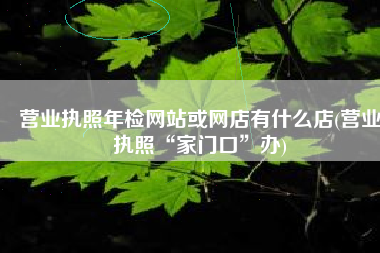 营业执照年检网站或网店有什么店(营业执照“家门口”办)