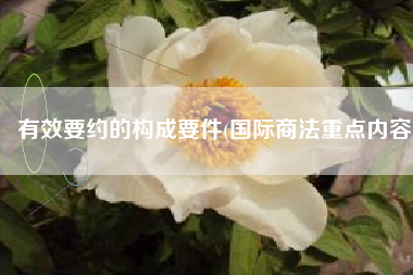 有效要约的构成要件(国际商法重点内容)