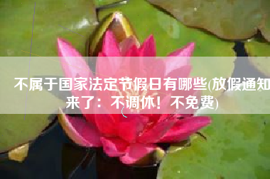 不属于国家法定节假日有哪些(放假通知来了：不调休！不免费)