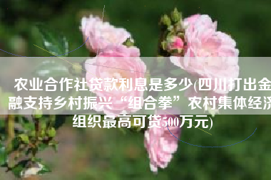 农业合作社贷款利息是多少(四川打出金融支持乡村振兴“组合拳”农村集体经济组织最高可贷500万元)