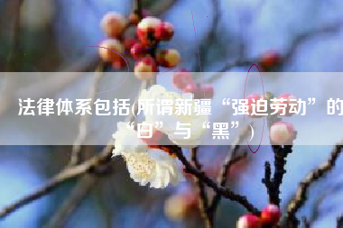 法律体系包括(所谓新疆“强迫劳动”的“白”与“黑”)