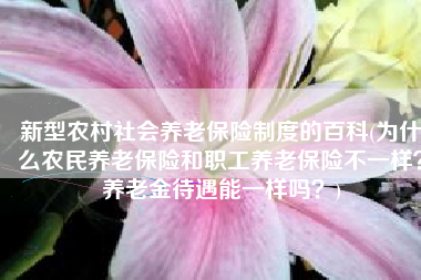 新型农村社会养老保险制度的百科(为什么农民养老保险和职工养老保险不一样？养老金待遇能一样吗？)