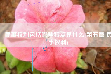 民事权利包括哪些特点是什么(第五章 民事权利)