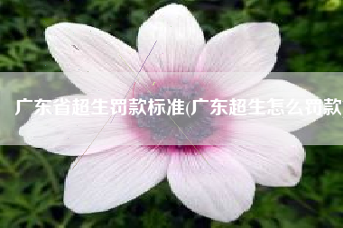 广东省超生罚款标准(广东超生怎么罚款)