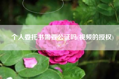 个人委托书需要公证吗(视频的授权)