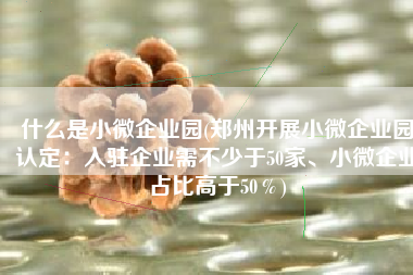 什么是小微企业园(郑州开展小微企业园认定：入驻企业需不少于50家、小微企业占比高于50％)