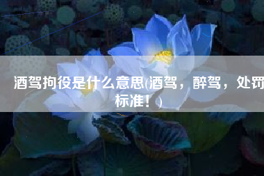 酒驾拘役是什么意思(酒驾，醉驾，处罚标准！)
