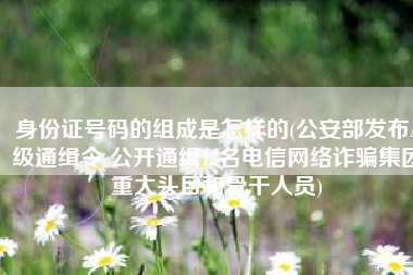 身份证号码的组成是怎样的(公安部发布A级通缉令 公开通缉12名电信网络诈骗集团重大头目和骨干人员)