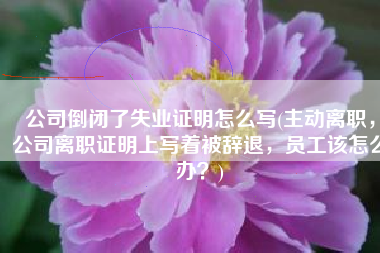 公司倒闭了失业证明怎么写(主动离职，公司离职证明上写着被辞退，员工该怎么办？)