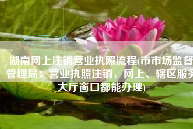 湖南网上注销营业执照流程(市市场监督管理局：营业执照注销，网上、辖区服务大厅窗口都能办理)