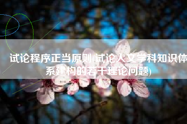 试论程序正当原则(试论人文学科知识体系建构的若干理论问题)
