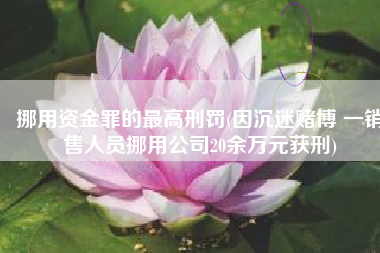 挪用资金罪的最高刑罚(因沉迷赌博 一销售人员挪用公司20余万元获刑)