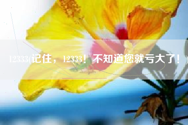 12333(记住，12333！不知道您就亏大了！)