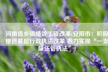 河南省乡镇绩效工资改革(安阳市：积极推进基层行政执法改革 着力实现“一支队伍管执法”)