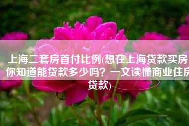 上海二套房首付比例(想在上海贷款买房，你知道能贷款多少吗？一文读懂商业住房贷款)