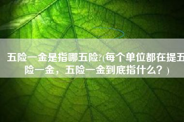 五险一金是指哪五险?(每个单位都在提五险一金，五险一金到底指什么？)