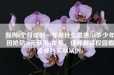 判刑6个月缓刑一年是什么意思(16岁少年因抢劫30元获刑1年多，律师解读校园霸凌被判实刑案例)